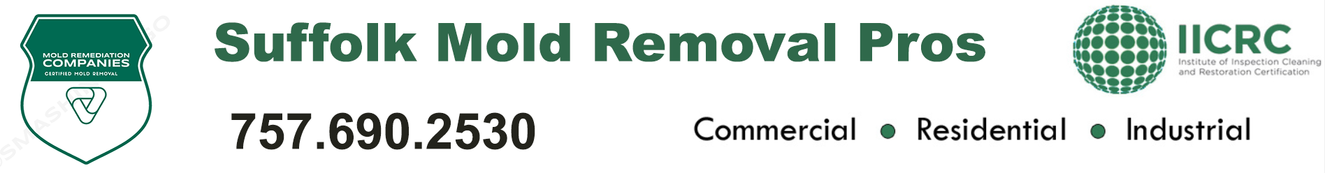 Suffolk Mold Removal Pros