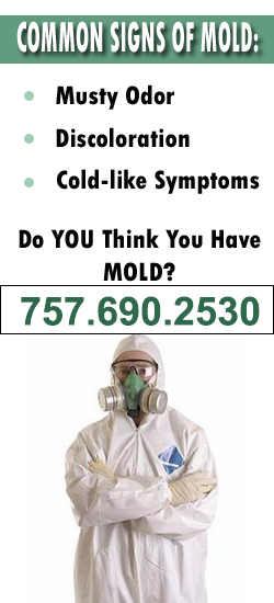 Suffolk Mold Remediation Contractor